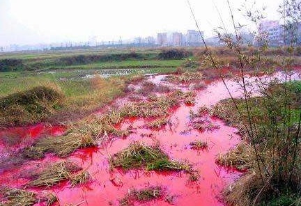我國農(nóng)田污染土壤修復(fù)的現(xiàn)狀